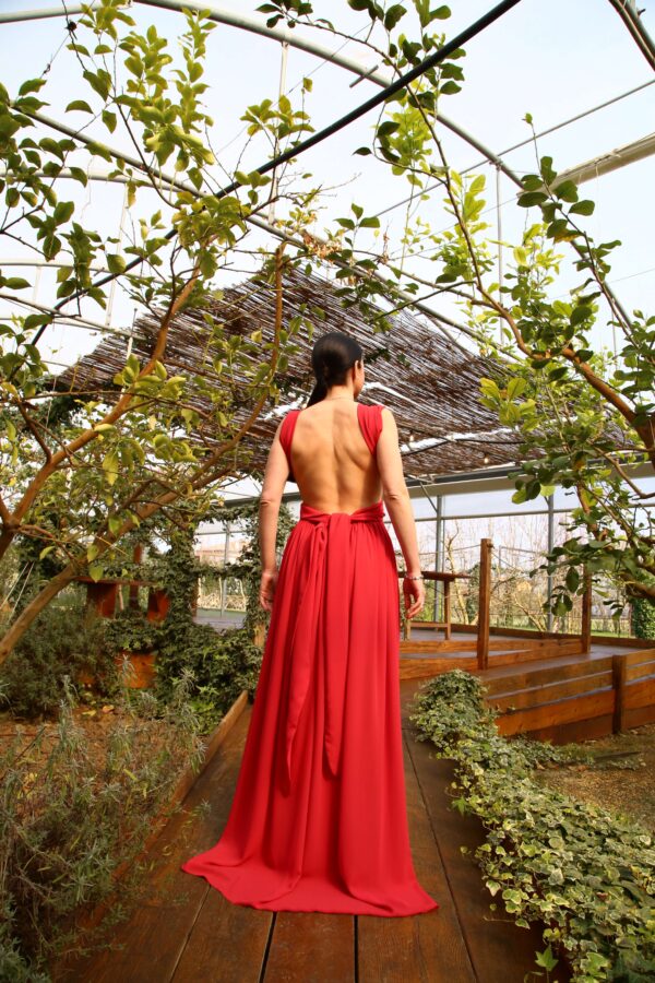 IMG_8910 IMG_8910