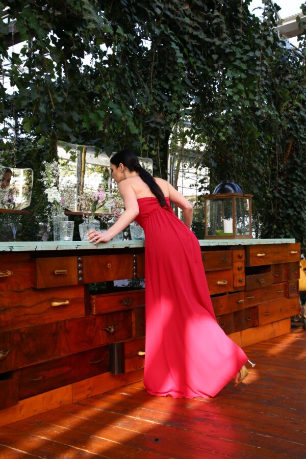 IMG_8372 IMG_8372